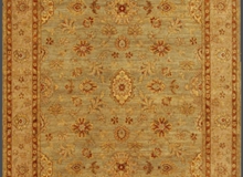 Gold-Olive